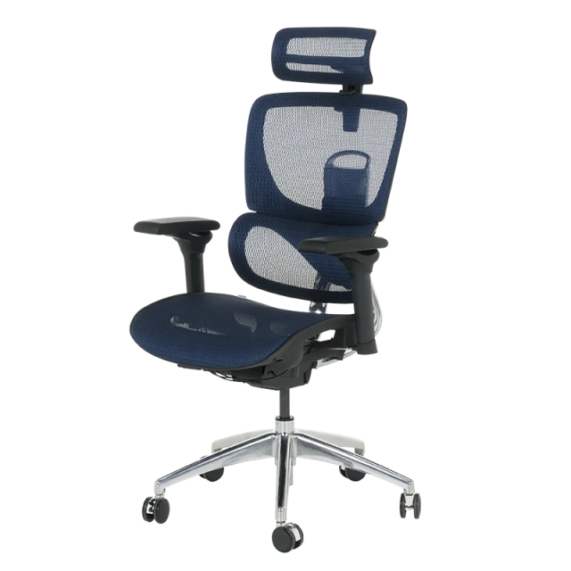 Ergonomic chair CALGARY - blue