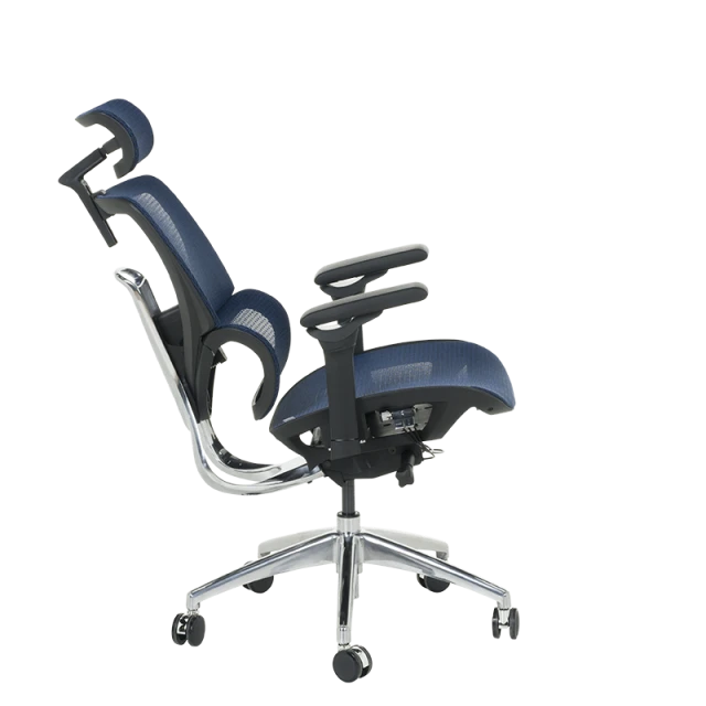 Ergonomic chair CALGARY - blue