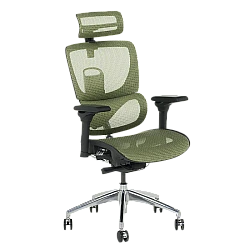 Ergonomic chair CALGARY - green