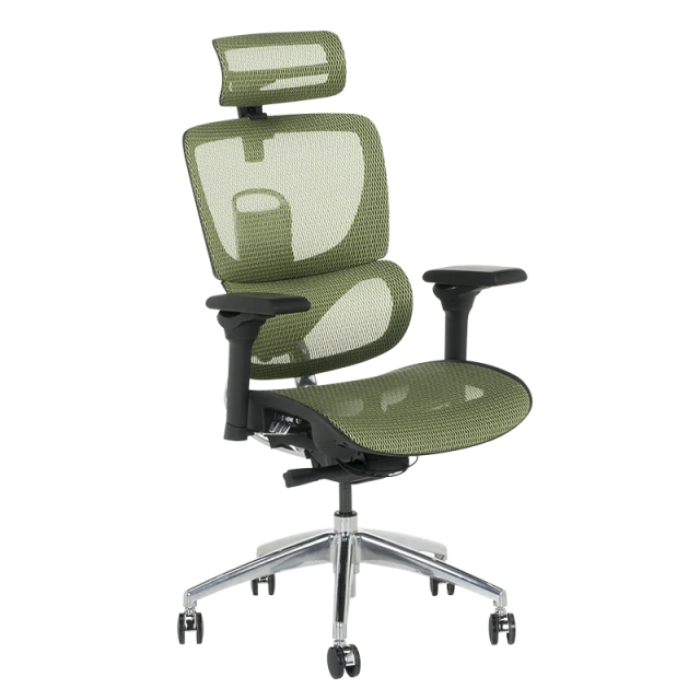 Ergonomic chair CALGARY - green