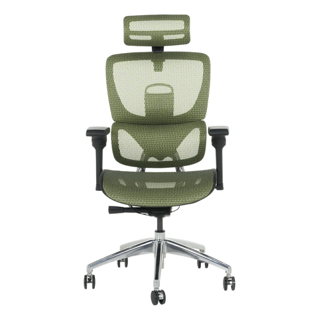 Ergonomic chair CALGARY - green