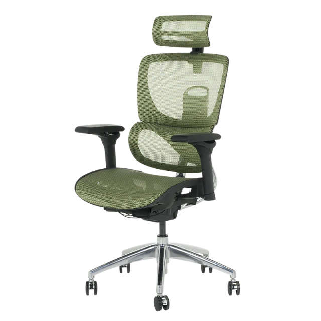 Ergonomic chair CALGARY - green