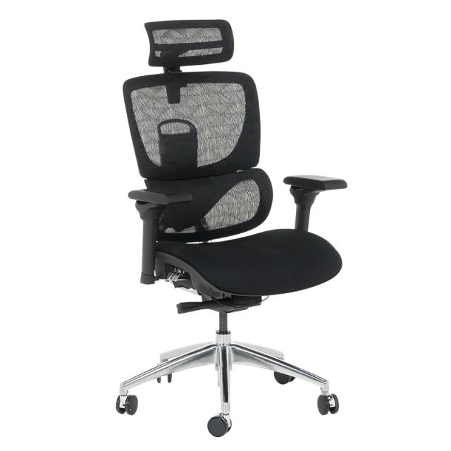 Ergonomic chair GANDER - black