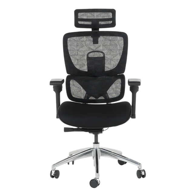 Ergonomic chair GANDER - black