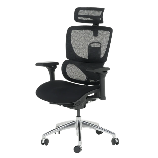Ergonomic chair GANDER - black