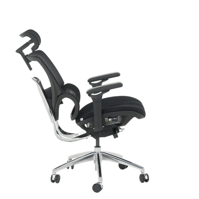 Ergonomic chair GANDER - black