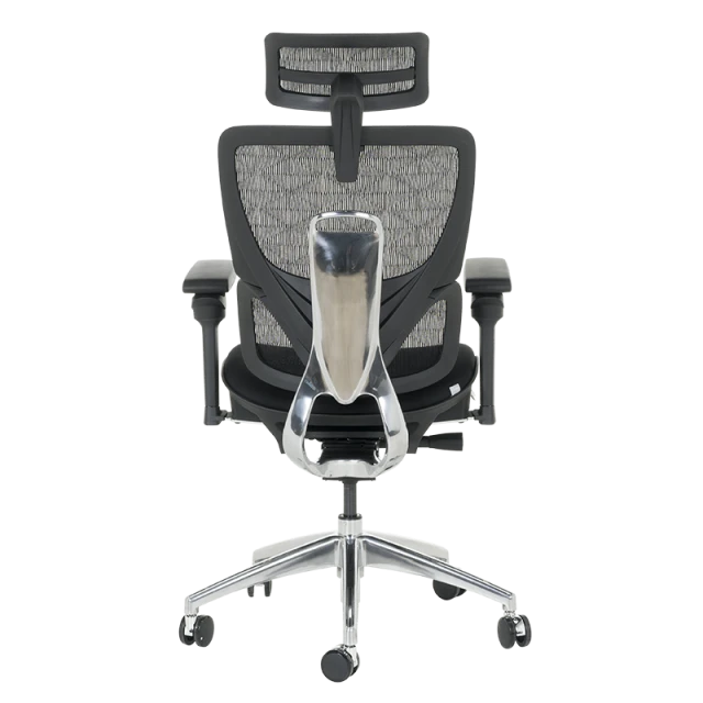 Ergonomic chair GANDER - black