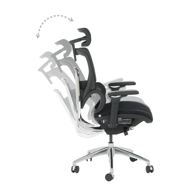 Ergonomic chair GANDER - black