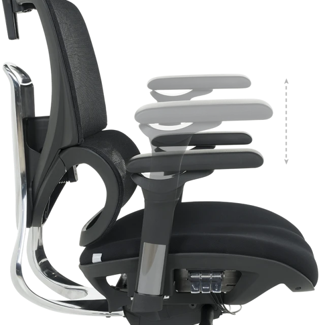 Ergonomic chair GANDER - black