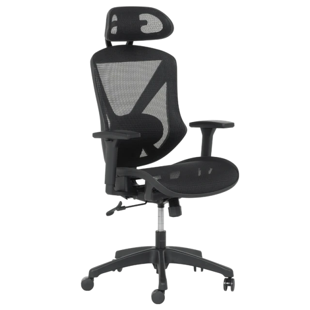 CAEN ergonomic chair - black