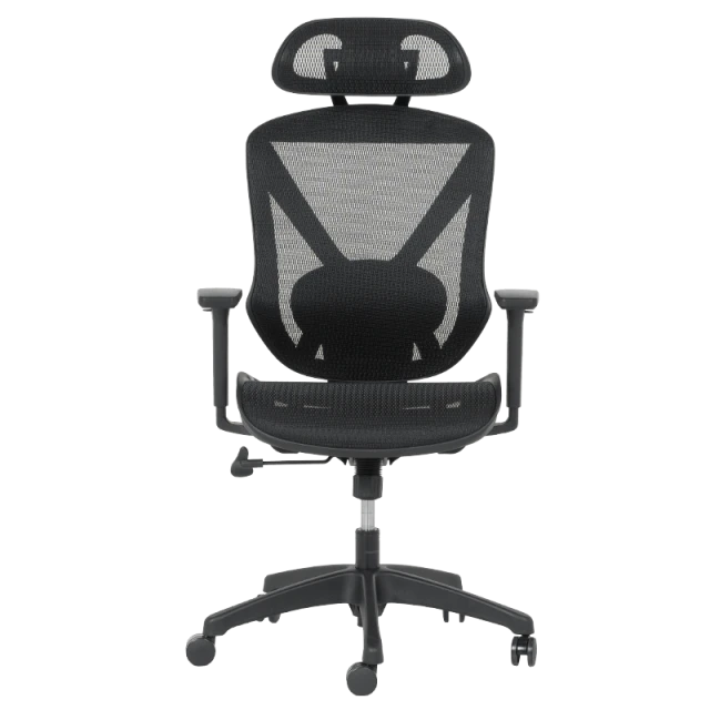 CAEN ergonomic chair - black