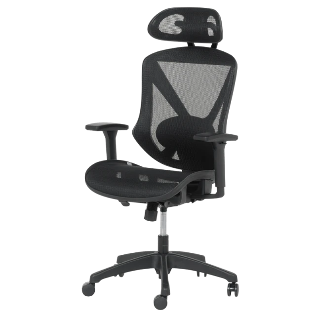 CAEN ergonomic chair - black