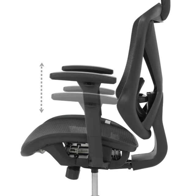 CAEN ergonomic chair - black