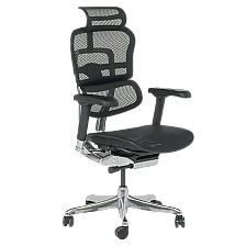 Ergonomic chair ERGOHUMAN ELITE 2 - black frame - black