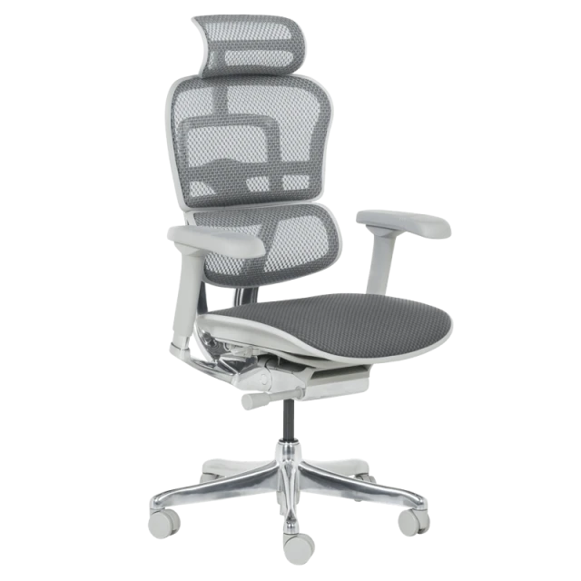 Ergonomic chair ERGOHUMAN ELITE 2 - gray frame - gray