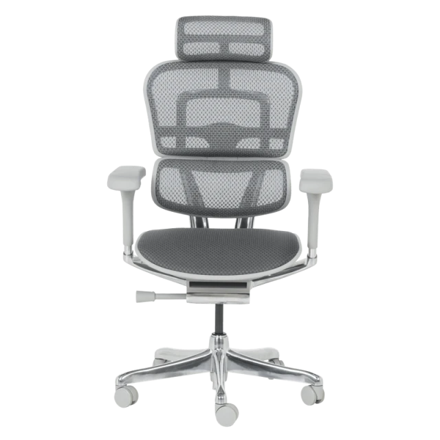 Ergonomic chair ERGOHUMAN ELITE 2 - gray frame - gray
