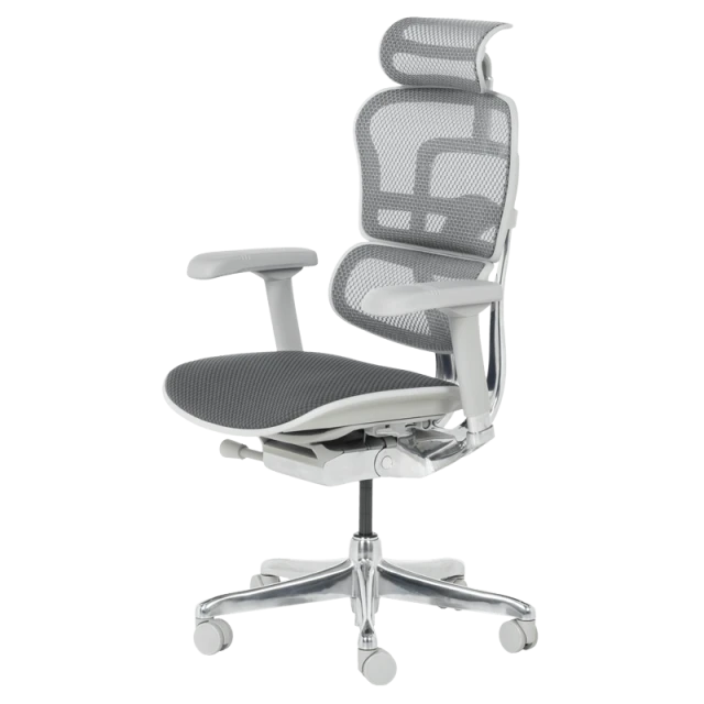 Ergonomic chair ERGOHUMAN ELITE 2 - gray frame - gray