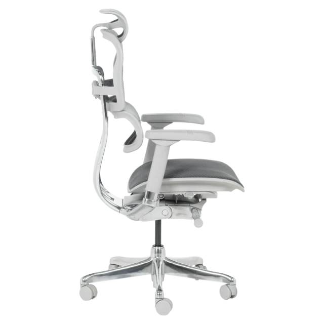 Ergonomic chair ERGOHUMAN ELITE 2 - gray frame - gray