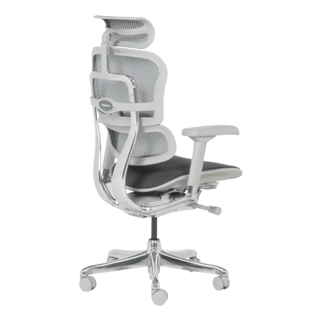 Ergonomic chair ERGOHUMAN ELITE 2 - gray frame - gray