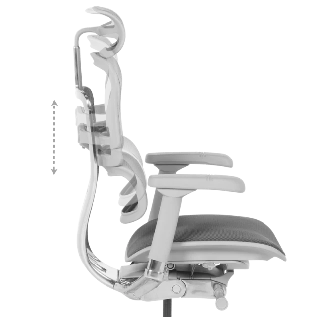 Ergonomic chair ERGOHUMAN ELITE 2 - gray frame - gray