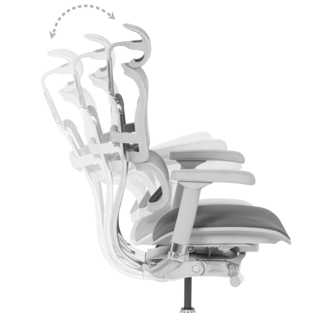 Ergonomic chair ERGOHUMAN ELITE 2 - gray frame - gray