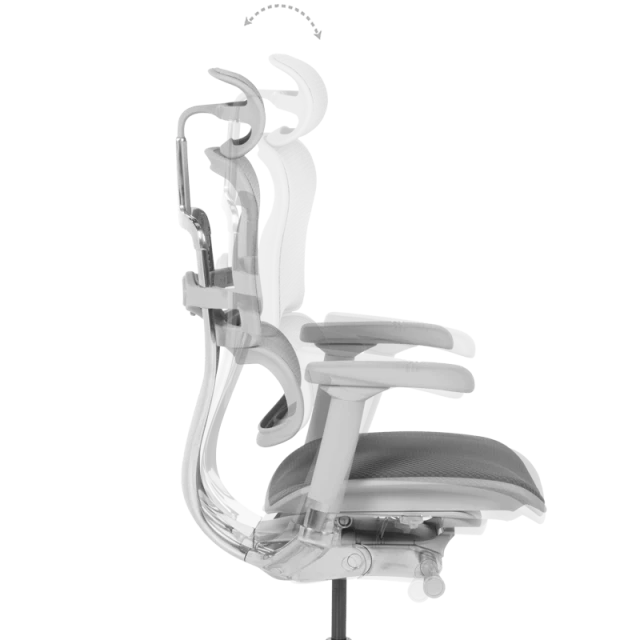 Ergonomic chair ERGOHUMAN ELITE 2 - gray frame - gray
