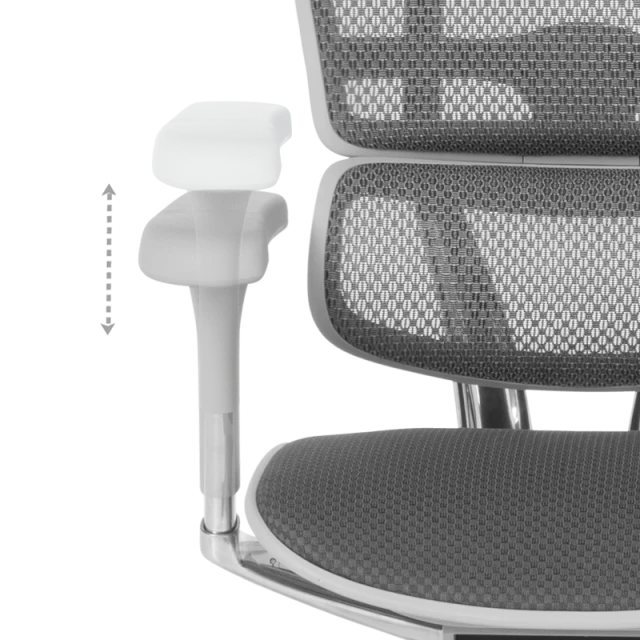Ergonomic chair ERGOHUMAN ELITE 2 - gray frame - gray