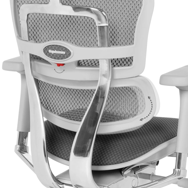 Ergonomic chair ERGOHUMAN ELITE 2 - gray frame - gray