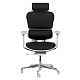 Ergonomic chair ERGOHUMAN ELITE 2 - gray frame - black