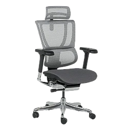 Ергономичен стол ERGOHUMAN IOO ELITE 2 - черна рамка - сив