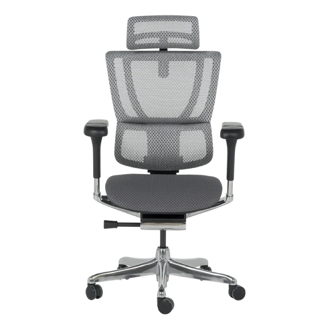 Ергономичен стол ERGOHUMAN IOO ELITE 2 - черна рамка - сив