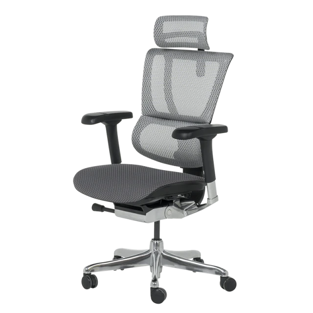 Ергономичен стол ERGOHUMAN IOO ELITE 2 - черна рамка - сив