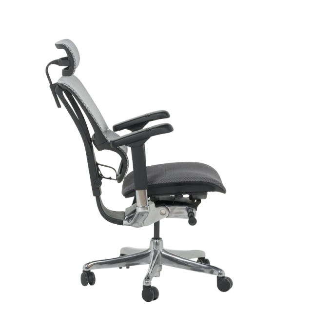 Ергономичен стол ERGOHUMAN IOO ELITE 2 - черна рамка - сив