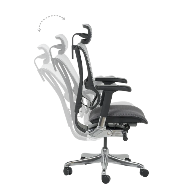 Ергономичен стол ERGOHUMAN IOO ELITE 2 - черна рамка - сив