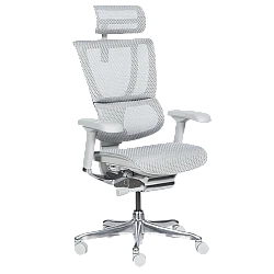 Ергономичен стол ERGOHUMAN IOO ELITE 2 - сива рамка - сив