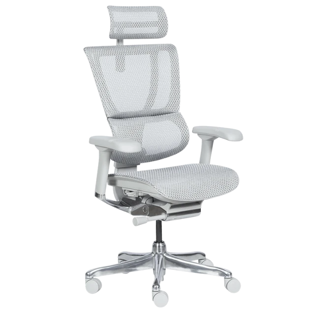 Ергономичен стол ERGOHUMAN IOO ELITE 2 - сива рамка - сив