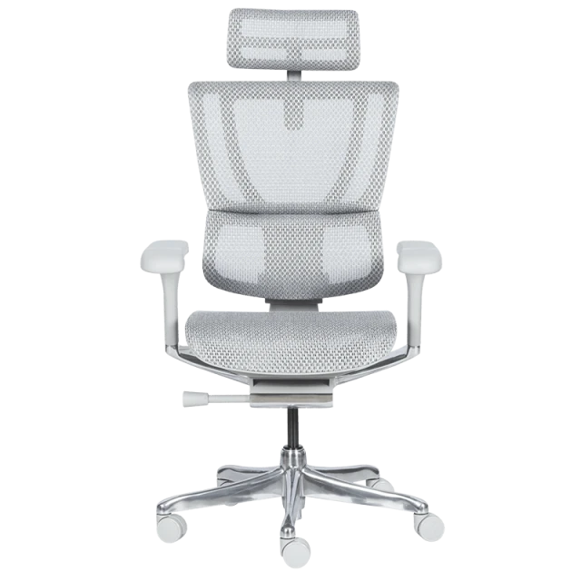Ергономичен стол ERGOHUMAN IOO ELITE 2 - сива рамка - сив