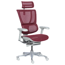 Ергономичен стол ERGOHUMAN IOO ELITE 2 - сива рамка - червен