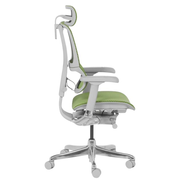 Ергономичен стол ERGOHUMAN IOO ELITE 2 - сива рамка - зелен