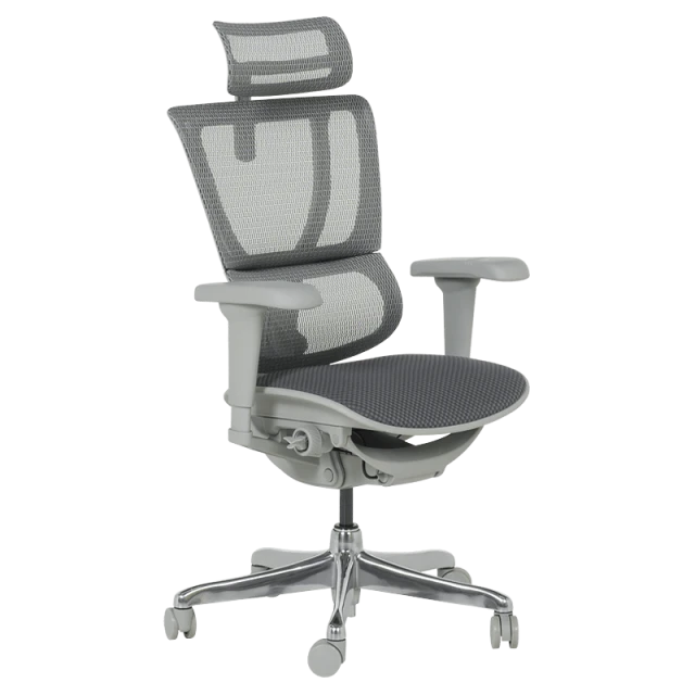 Ergonomic chair ERGOHUMAN IOO ULTRA - gray frame - gray