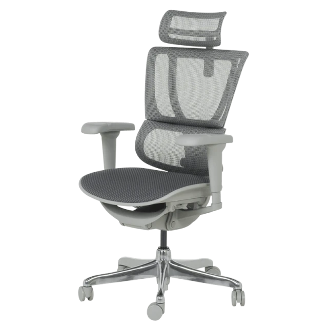 Ergonomic chair ERGOHUMAN IOO ULTRA - gray frame - gray
