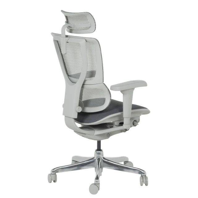 Ergonomic chair ERGOHUMAN IOO ULTRA - gray frame - gray