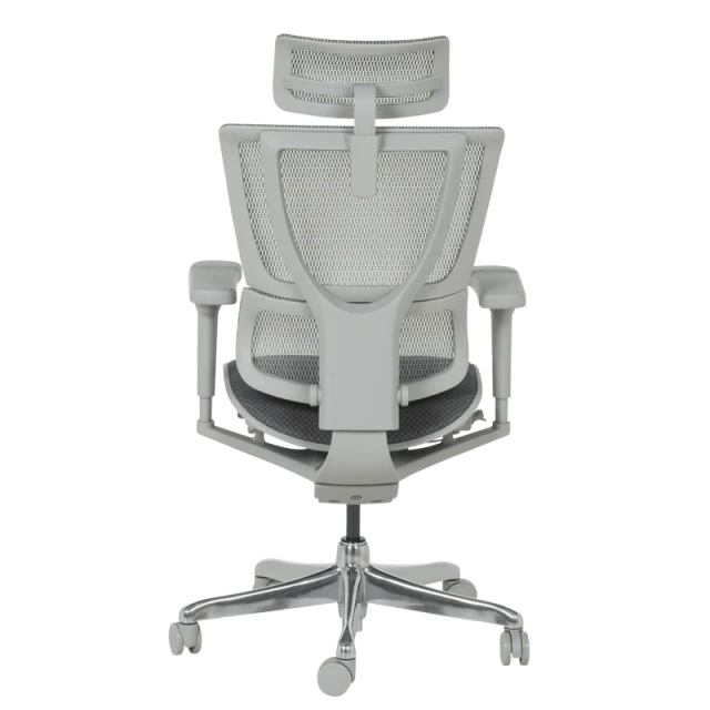 Ergonomic chair ERGOHUMAN IOO ULTRA - gray frame - gray