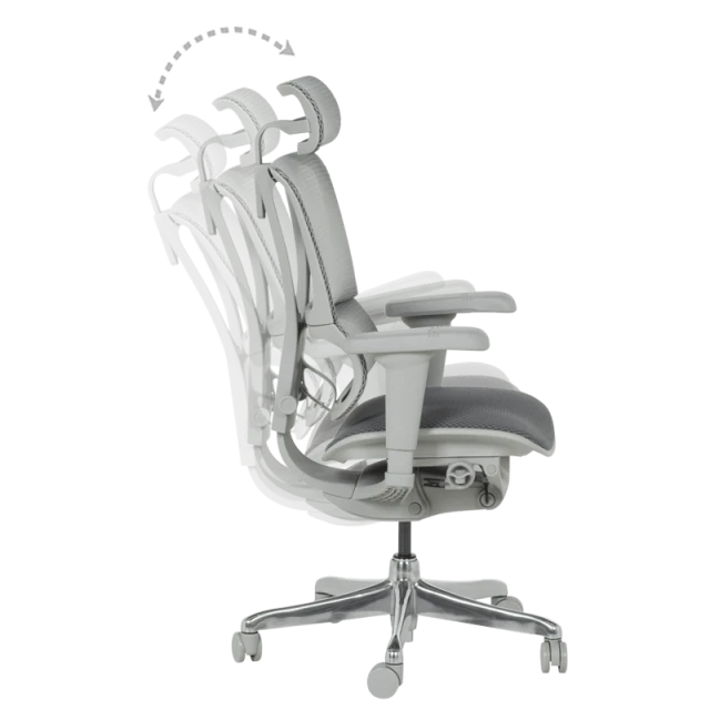Ergonomic chair ERGOHUMAN IOO ULTRA - gray frame - gray