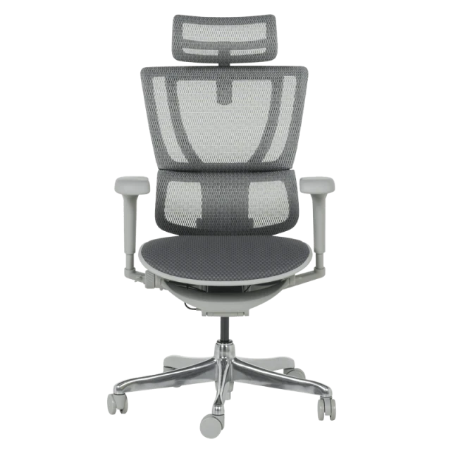 Ergonomic chair ERGOHUMAN IOO ULTRA - gray frame - gray
