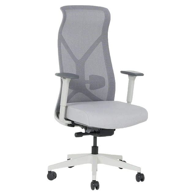 Ergonomic chair SARON - gray