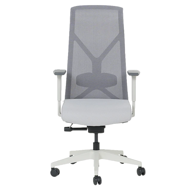 Ergonomic chair SARON - gray