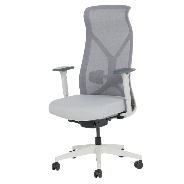 Ergonomic chair SARON - gray