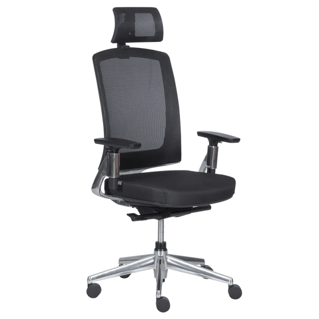 Ergonomic chair ALBI - black