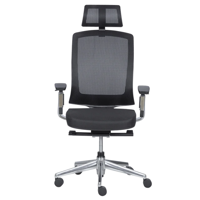 Ergonomic chair ALBI - black